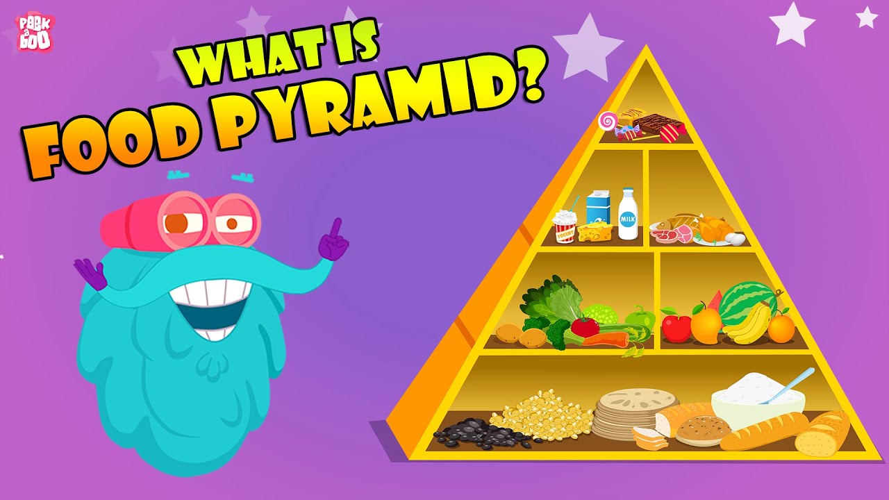 FOOD PYRAMID How Different Foods Affect Your Body The Dr Binocs